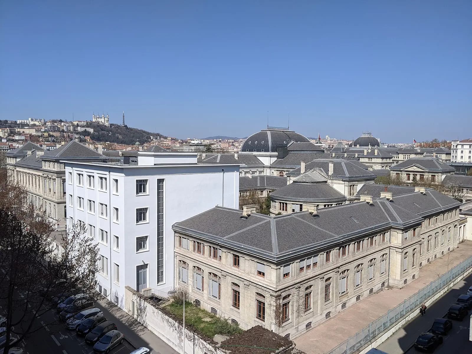 Université Lumière Lyon 2